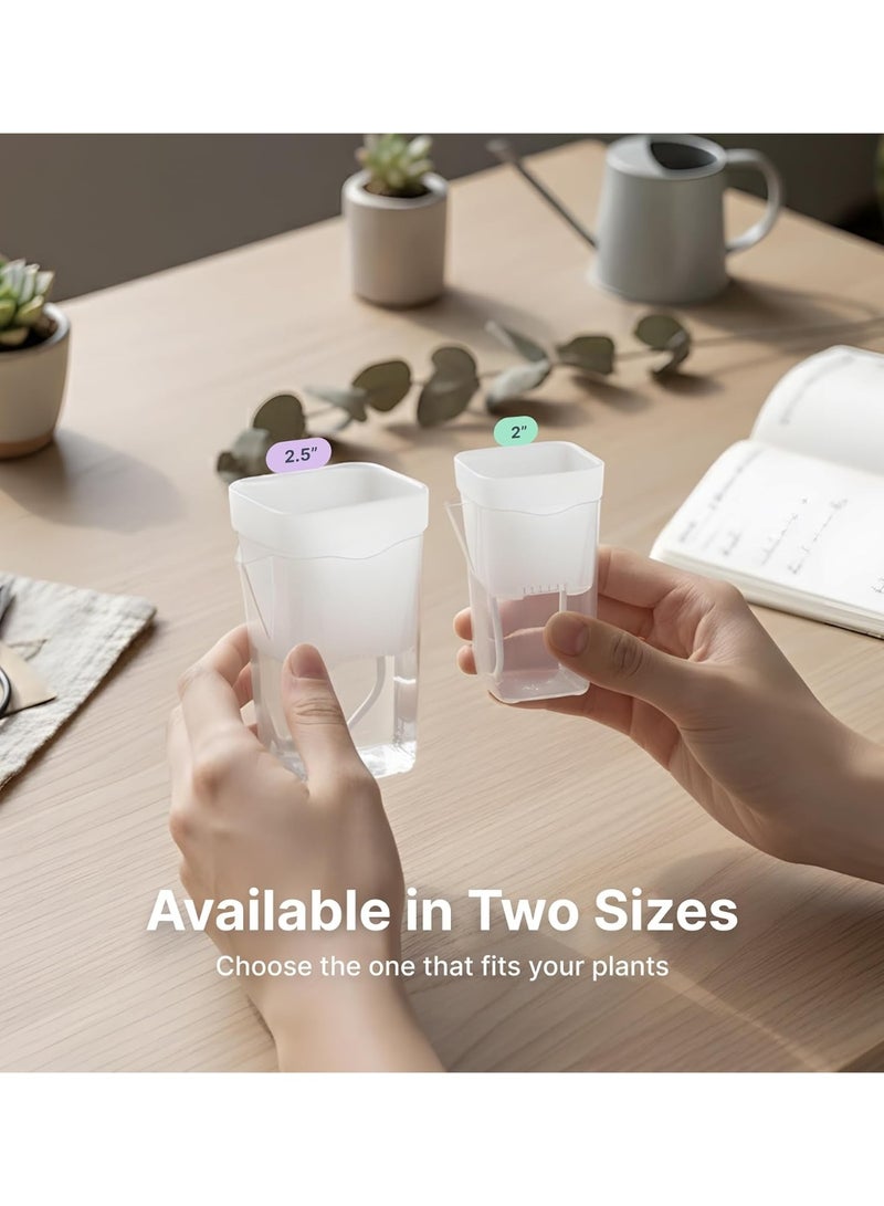 Bukela 12 Pack 2.5" Small Self Watering Pots for Indoor Plants, Mini Clear Plastic Planters, Semi-Hydro, Propagation, Cuttings, Seedlings, Hoya, African Violets, Alocasia, LECA, PON,12 Plant Label - Image 3
