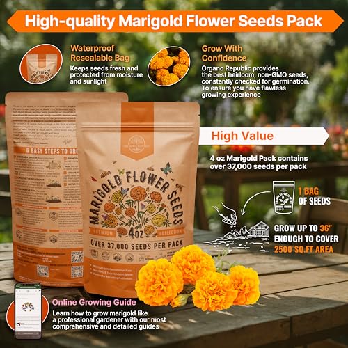 Organo Republic Marigold Seeds Pack 4 oz - Over 37,000 Non-GMO Heirloom Marigold Seeds for Planting Indoor & Outdoor Gardening, Flower Seed for Planting Home and Garden, Flowers Seed in Individual Packet - Image 2
