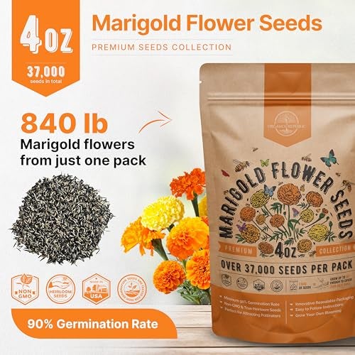 Organo Republic Marigold Seeds Pack 4 oz - Over 37,000 Non-GMO Heirloom Marigold Seeds for Planting Indoor & Outdoor Gardening, Flower Seed for Planting Home and Garden, Flowers Seed in Individual Packet - Image 3