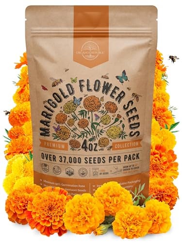 Organo Republic Marigold Seeds Pack 4 oz - Over 37,000 Non-GMO Heirloom Marigold Seeds for Planting Indoor & Outdoor Gardening, Flower Seed for Planting Home and Garden, Flowers Seed in Individual Packet - Image 1