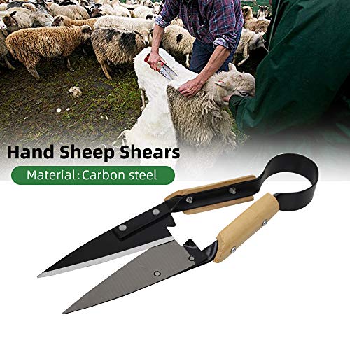 Abustle pig Hand shears for sheep shearing, Single Bow Heavy Duty Onion/Sheep Shear for alpaca, pet horse dog shearing, 6.1-Inch Carbon Steel Blade, 12.5-Inch Long - Image 2