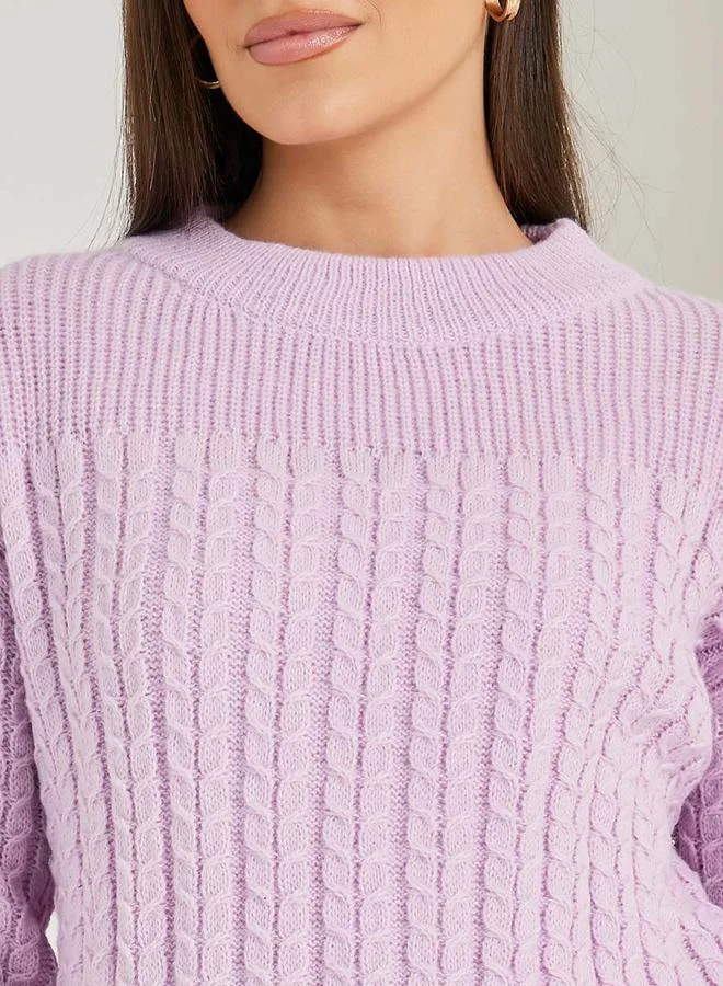 ستايلي Regular Fit Brushed Yarn Cable Knit Sweater