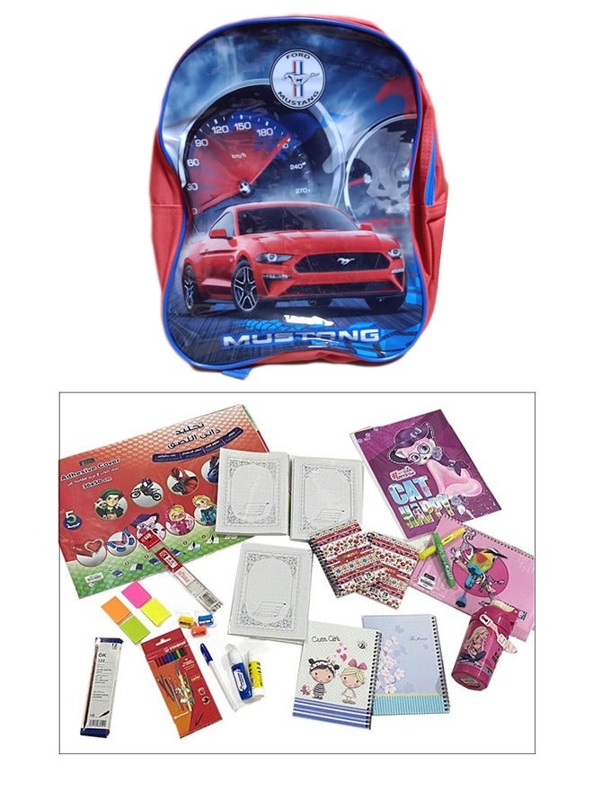 School Backpack with All Student Requirements Set of 51 Pcs