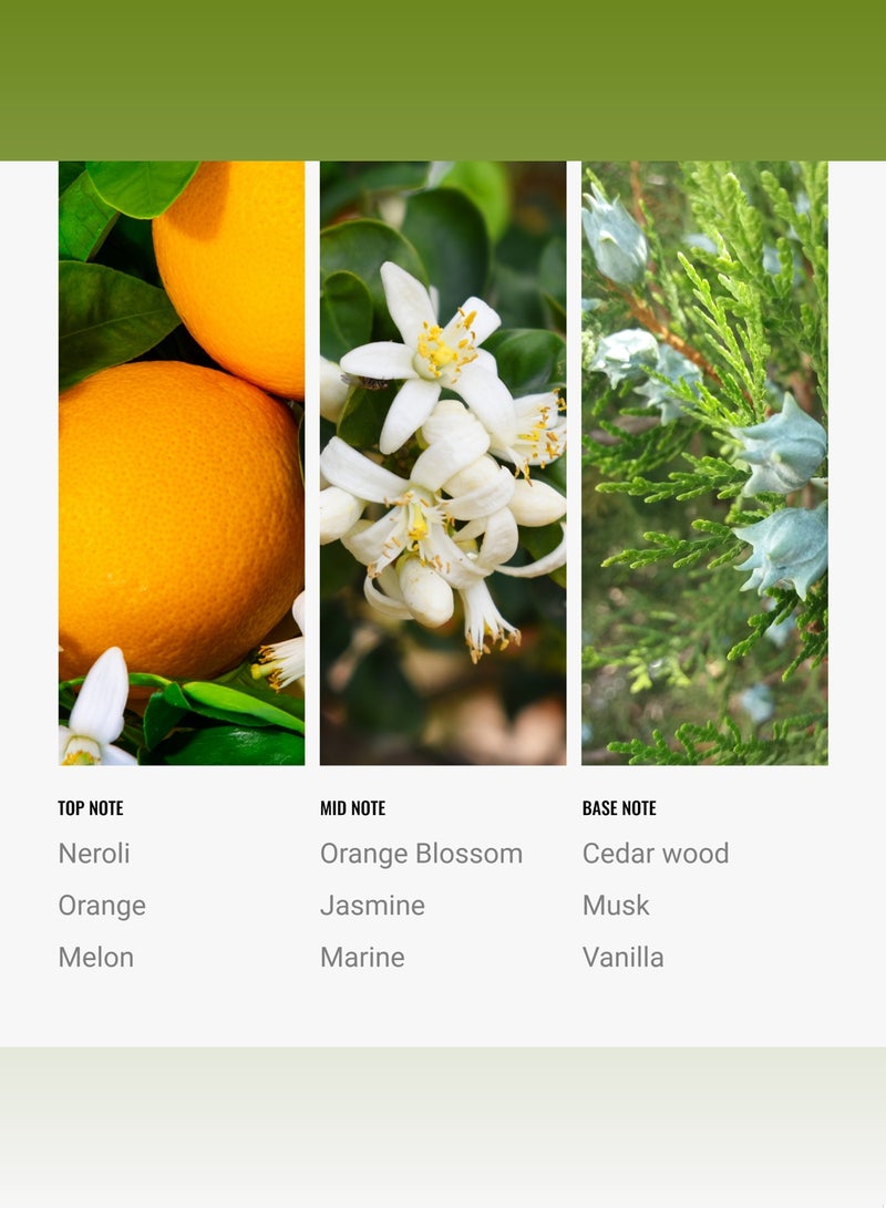 Hotel Collection Paradise Pro-Pod Oil Blend - Hotel Inspired for Luxury Essential Oil Diffusers - Aromatherapy Scent Diffuser Oil - Melon, Jasmine, and Musk  - Image 4