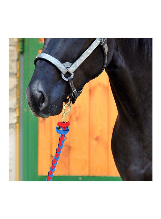 NIBEMINENT Braided Horse Leash With Brass Snap Red/Blue - Image 3