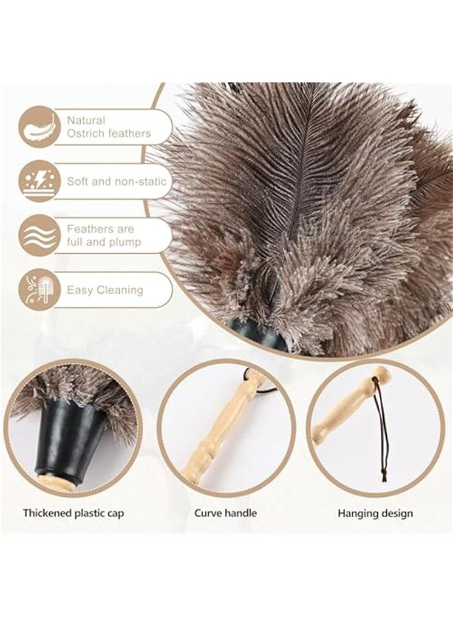 Beauenty 14 Natural Ostrich Feather Duster, Handheld Wooden Handle, Reusable, for Home, Office, Car Cleaning Supplies - Image 3