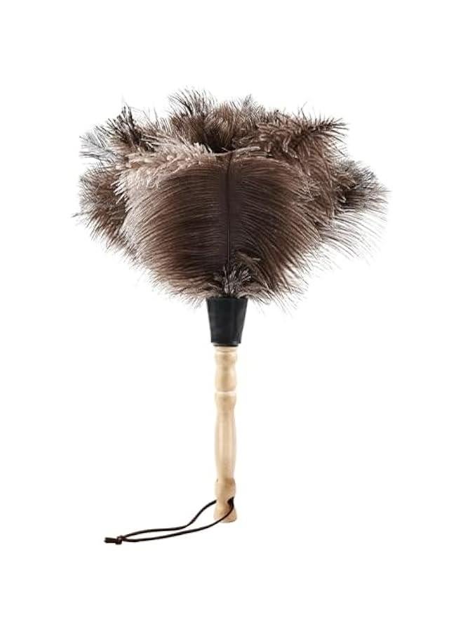 Beauenty 14 Natural Ostrich Feather Duster, Handheld Wooden Handle, Reusable, for Home, Office, Car Cleaning Supplies - Image 1