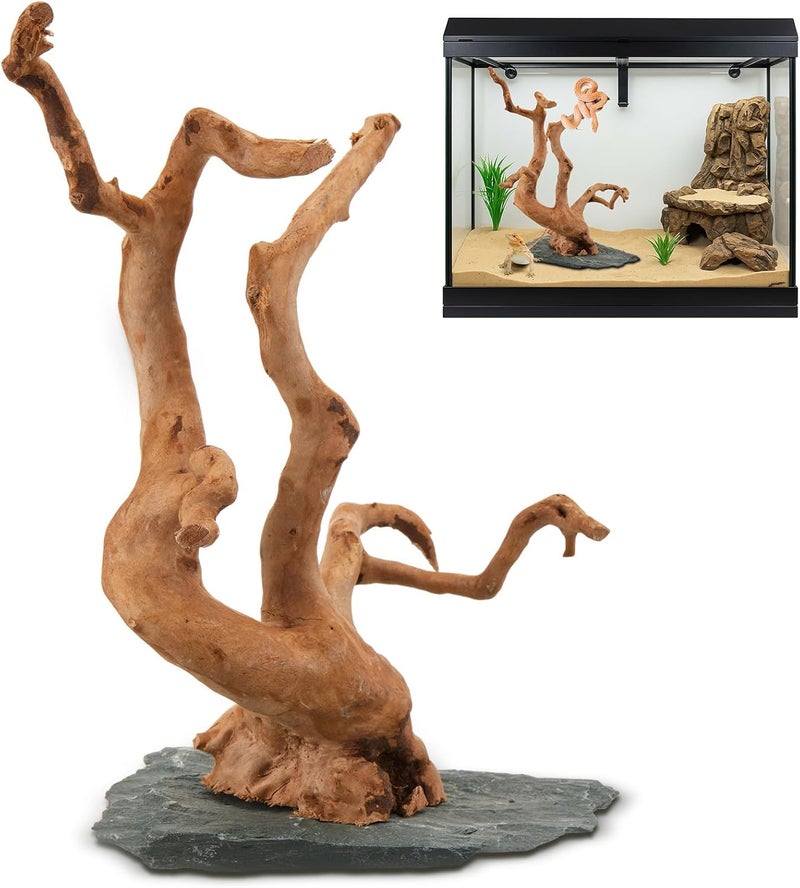 AceOrbit Natural Large Spider Wood Driftwood, 8.5-11.5 Inch Natural Aquarium Driftwood Spiderwood on Slate Stone Aquascaping Wood for Aquarium, Terrarium, Vivarium, Reptile Tank, Fish Tank Decoration - Image 1