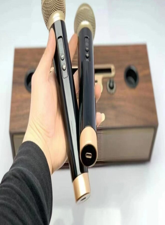 DKS525 Wireless Bluetooth Dual Microphone Karaoke Family KTV Portable 3D Stereo Speaker - Image 2