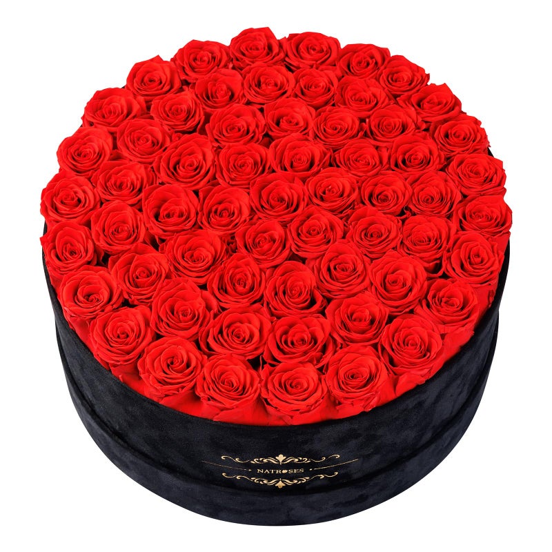 NATROSES Gifts for Women â€“ NATROSES 60 Preserved Roses in Luxury Black Velvet Box, Preserved Flowers for Delivery Gift for Her, Elegant Rose for Birthday, Motherâ€™s Day, Christmas (Red) - Image 1