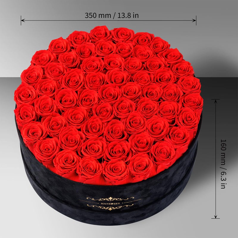 NATROSES Gifts for Women â€“ NATROSES 60 Preserved Roses in Luxury Black Velvet Box, Preserved Flowers for Delivery Gift for Her, Elegant Rose for Birthday, Motherâ€™s Day, Christmas (Red) - Image 2