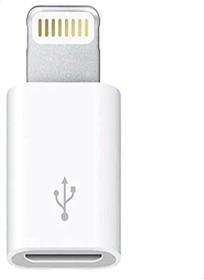 OR - Lightning Pin to Micro USB Adapter - Image 1