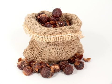HUNGRY BEAST SpiceM Organic Seedless Reetha Nature Whole No seed Dried Reetha Konkudu Kayalu soapberry soapnut washnut 100 grams - Image 2
