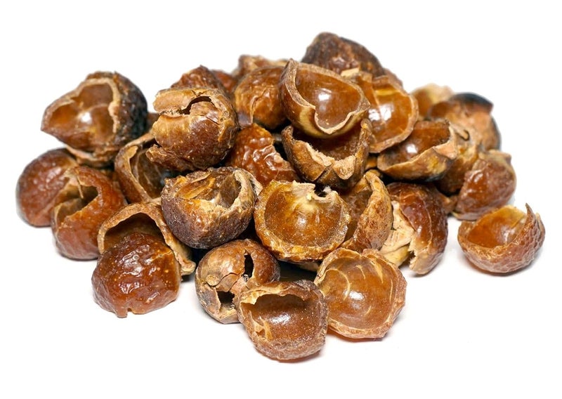 HUNGRY BEAST SpiceM Organic Seedless Reetha Nature Whole No seed Dried Reetha Konkudu Kayalu soapberry soapnut washnut 100 grams - Image 3
