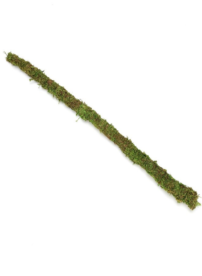 USMOLA Bendable Hermit Crab Climbing Toys, Adjustable Fake Moss Vine for Pet Snail Hermet Crab Habitat Hideouts Tank Terrarium Accessories (Natural Green, 20Inch) - Image 5