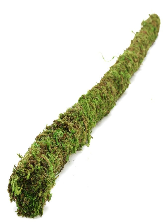USMOLA Bendable Hermit Crab Climbing Toys, Adjustable Fake Moss Vine for Pet Snail Hermet Crab Habitat Hideouts Tank Terrarium Accessories (Natural Green, 20Inch) - Image 4