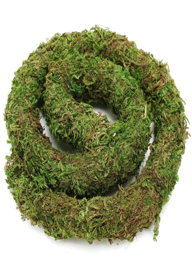 USMOLA Bendable Hermit Crab Climbing Toys, Adjustable Fake Moss Vine for Pet Snail Hermet Crab Habitat Hideouts Tank Terrarium Accessories (Natural Green, 20Inch) - Image 3