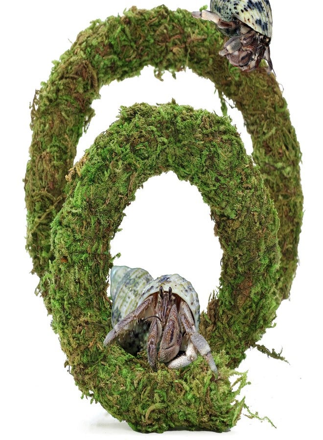 USMOLA Bendable Hermit Crab Climbing Toys, Adjustable Fake Moss Vine for Pet Snail Hermet Crab Habitat Hideouts Tank Terrarium Accessories (Natural Green, 20Inch) - Image 1