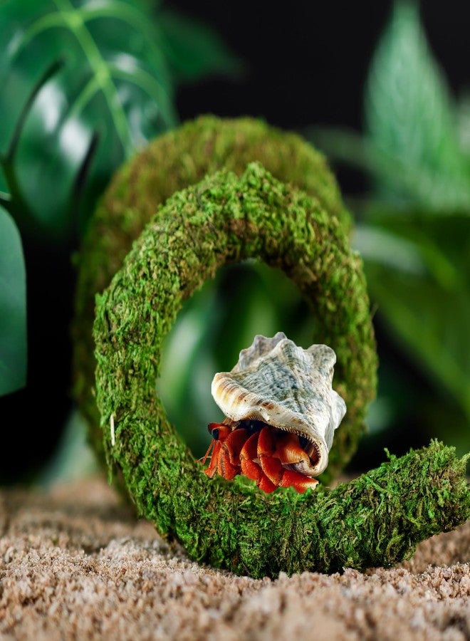 USMOLA Bendable Hermit Crab Climbing Toys, Adjustable Fake Moss Vine for Pet Snail Hermet Crab Habitat Hideouts Tank Terrarium Accessories (Natural Green, 20Inch) - Image 2