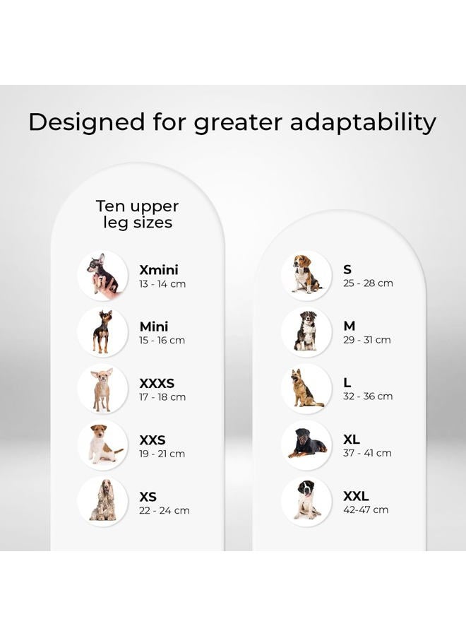 PHEROLAB Dog Knee Brace for Torn Acl Hind Leg, Cruciate Ligament Injuries, Patella Dislocation or Osteoarthritis - Dog Acl Knee Brace - Dog Braces for Back Leg for Support (Medium, Left Leg) - Image 4