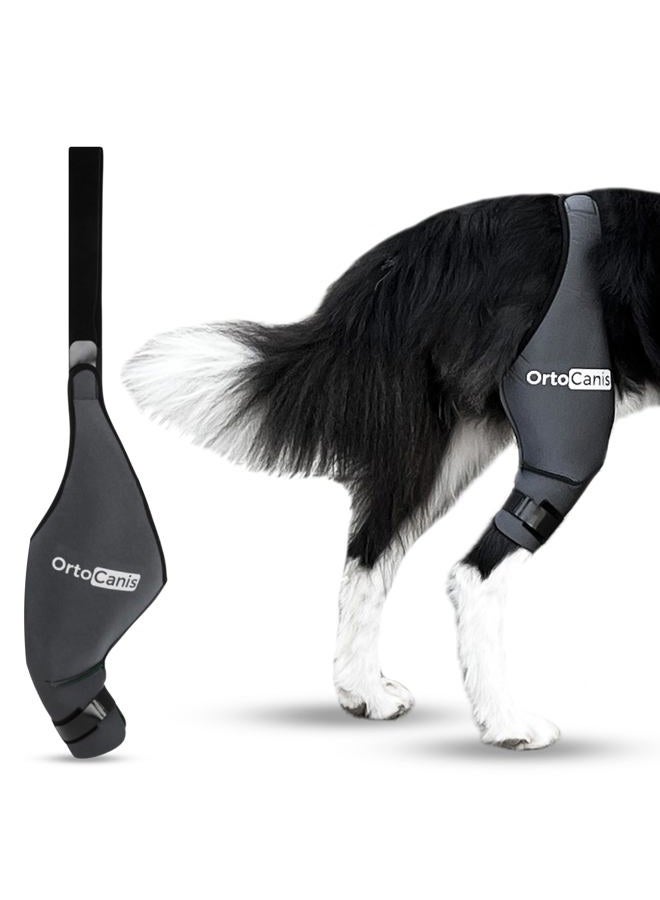 PHEROLAB Dog Knee Brace for Torn Acl Hind Leg, Cruciate Ligament Injuries, Patella Dislocation or Osteoarthritis - Dog Acl Knee Brace - Dog Braces for Back Leg for Support (Medium, Left Leg) - Image 1