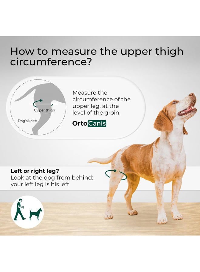 PHEROLAB Dog Knee Brace for Torn Acl Hind Leg, Cruciate Ligament Injuries, Patella Dislocation or Osteoarthritis - Dog Acl Knee Brace - Dog Braces for Back Leg for Support (Medium, Left Leg) - Image 3