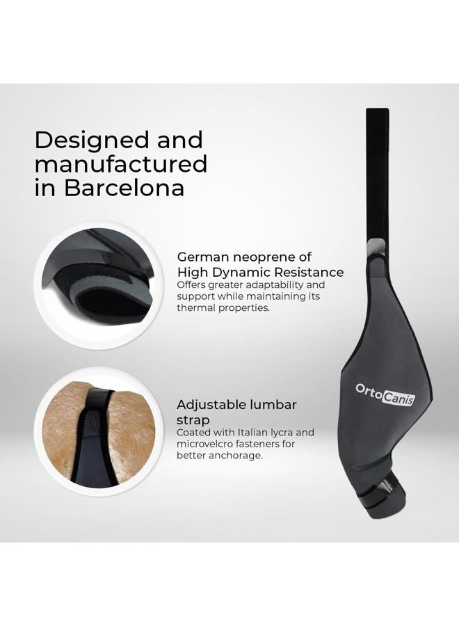 PHEROLAB Dog Knee Brace for Torn Acl Hind Leg, Cruciate Ligament Injuries, Patella Dislocation or Osteoarthritis - Dog Acl Knee Brace - Dog Braces for Back Leg for Support (Medium, Left Leg) - Image 5
