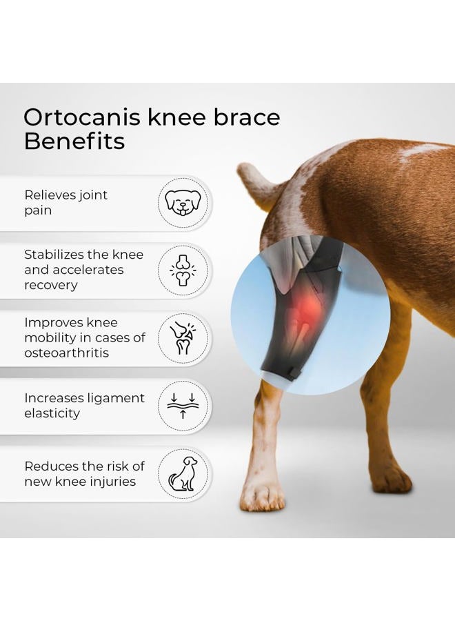 PHEROLAB Dog Knee Brace for Torn Acl Hind Leg, Cruciate Ligament Injuries, Patella Dislocation or Osteoarthritis - Dog Acl Knee Brace - Dog Braces for Back Leg for Support (Medium, Left Leg) - Image 2