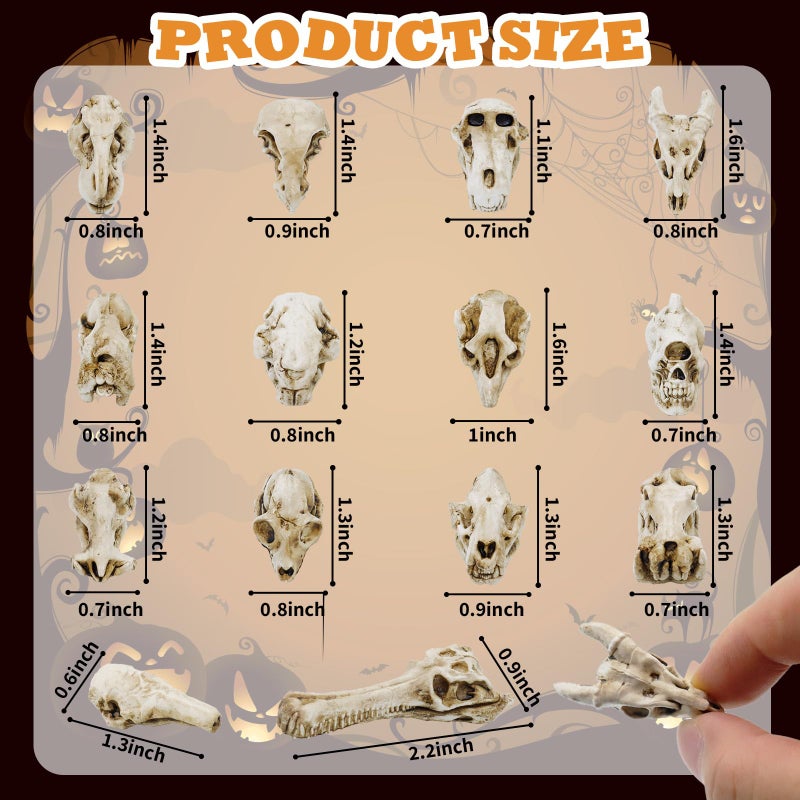 Bbiamsleep 14 Pcs 1.5 Inch Mini Resin Animal Skull Heads Miniature Animal Skull Figurines Mini Halloween Skulls Mini Skull Figurine Miniature Skulls for Crafts Halloween Christmas Micro Landscape Decor - Image 2