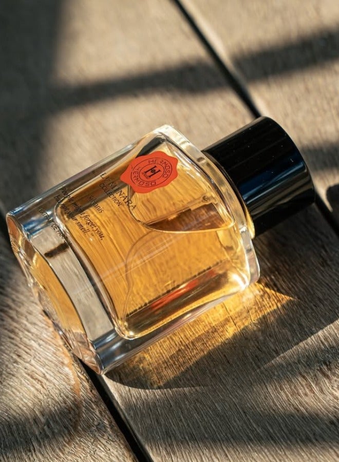 Hermoso Nejati Luminara Aurasil Extrait de Parfum 100ml | Premium Unisex Perfume | Elegant, Long Lasting Fragrance - Image 2
