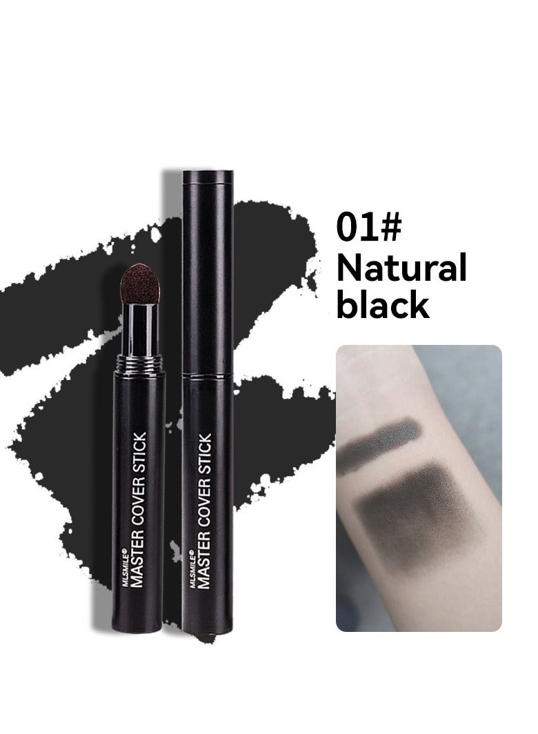 Master Hair Shading Sponge Pen Natural Shade Hairline Powder Hairline Shadow Powder Stick Waterproof Hair Root Concealer For Thinning Hair Root Touch-Up - Image 1