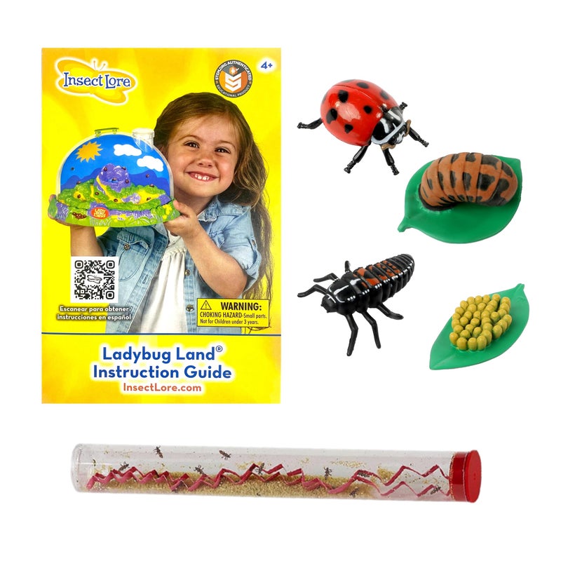 Insect Lore Live Baby Ladybug Larvae - Ladybug Growing Kit REFILL with Ladybug Life Cycle Toy Figurines - SHIP NOW - Image 1