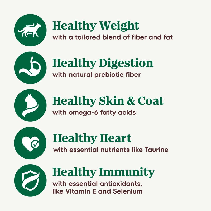 Nutro Wholesome Essentials Dry Cat Food, Indoor Cat Food Dry Chicken & Brown Rice Recipe, 14 lbs. - Image 4