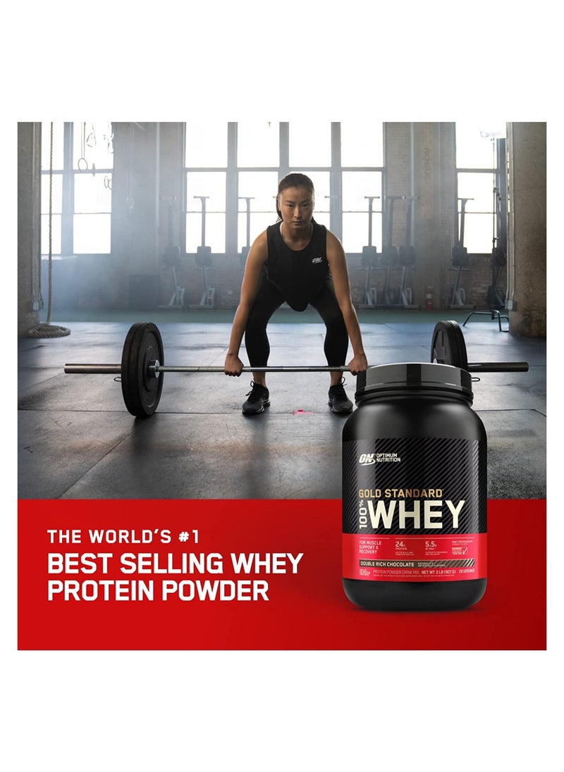 Optimum Nutrition - Gold Standard 100% Whey Protein Powder, for Muscle Support & Recovery, Primary Source Whey Protein Isolate - Vanilla Ice Cream, 4.54 Kgs (10 lbs) - Image 1
