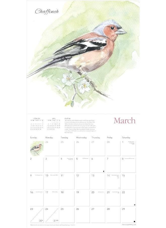 Chris Pendleton Garden Birds Wall Calendar 2025 (Art Calendar)  - Image 4