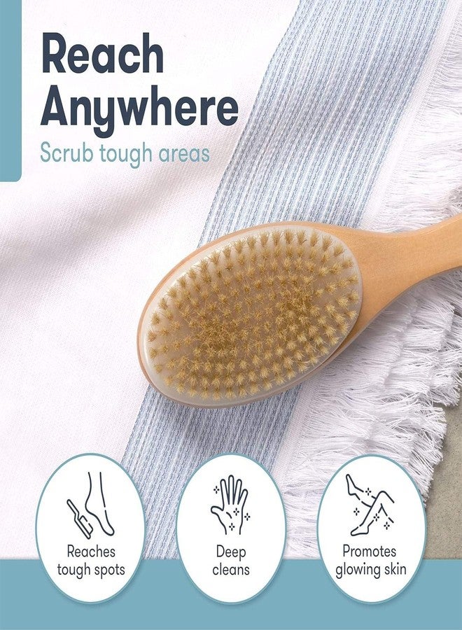 ELOTES 2 in 1 Bath Body Exfoliating Brush,Shower Back Cleaning Scrubber with Long Wooden Handle,40.5CM Dry or Wet Skin Exfoliator Brush with Soft and Stiff Bristles Back Washer.Stimulates Blood Circulation. - Image 3