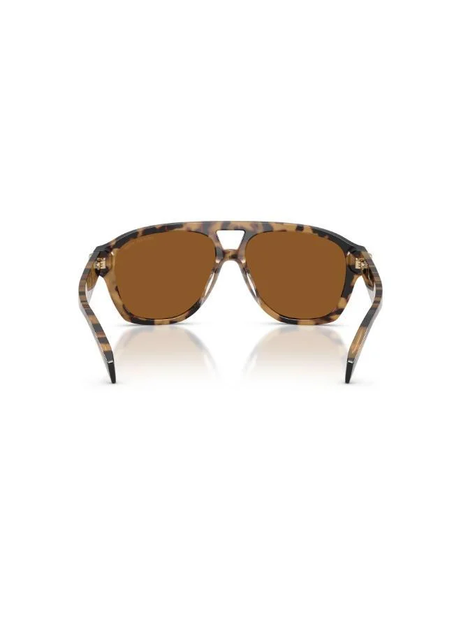Michael Kors  Cat Eye Sunglasses for Women | Best Price UAE