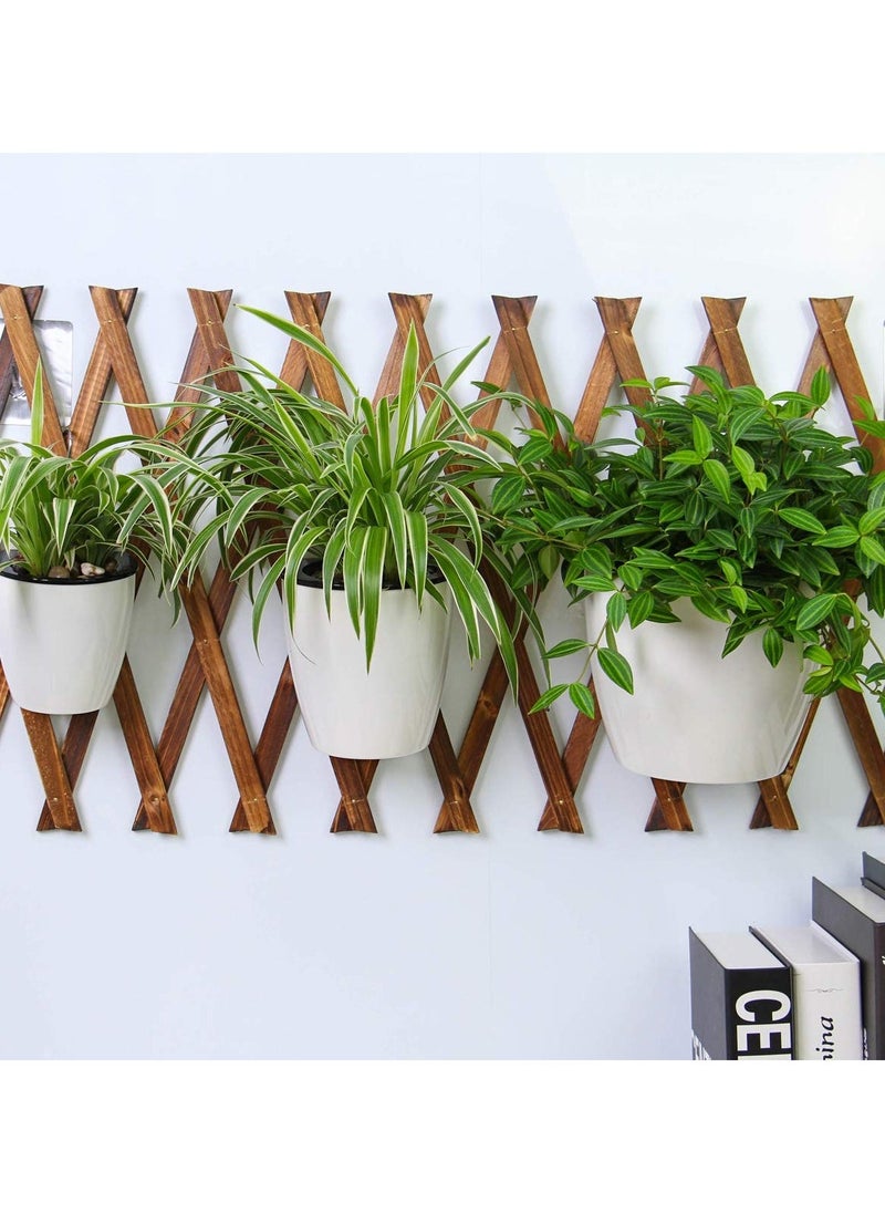 3 Packs 7.5 Inch Wall Mounted White Plastic Hanging Self Watering Planter Pot, for Indoor Plants, Plastic Self-Watering Planter Pots, Wall Mounted Hanging Pots for Herb Succulent Cactus with Hooks - Image 3