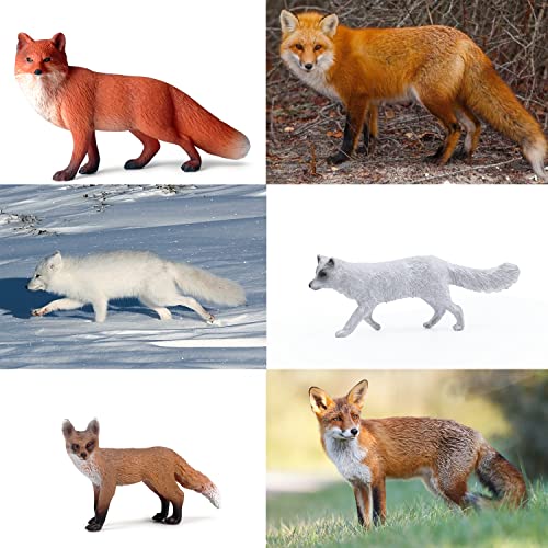 SIENON 8Pcs Fox Toy Figures Set Miniature Arctic and Red Foxes Family Forest Woodland Animals Figurines Toys for Kids Educational Winter Diorama Christmas Birthday Party Gift Cake Decorations - Image 5