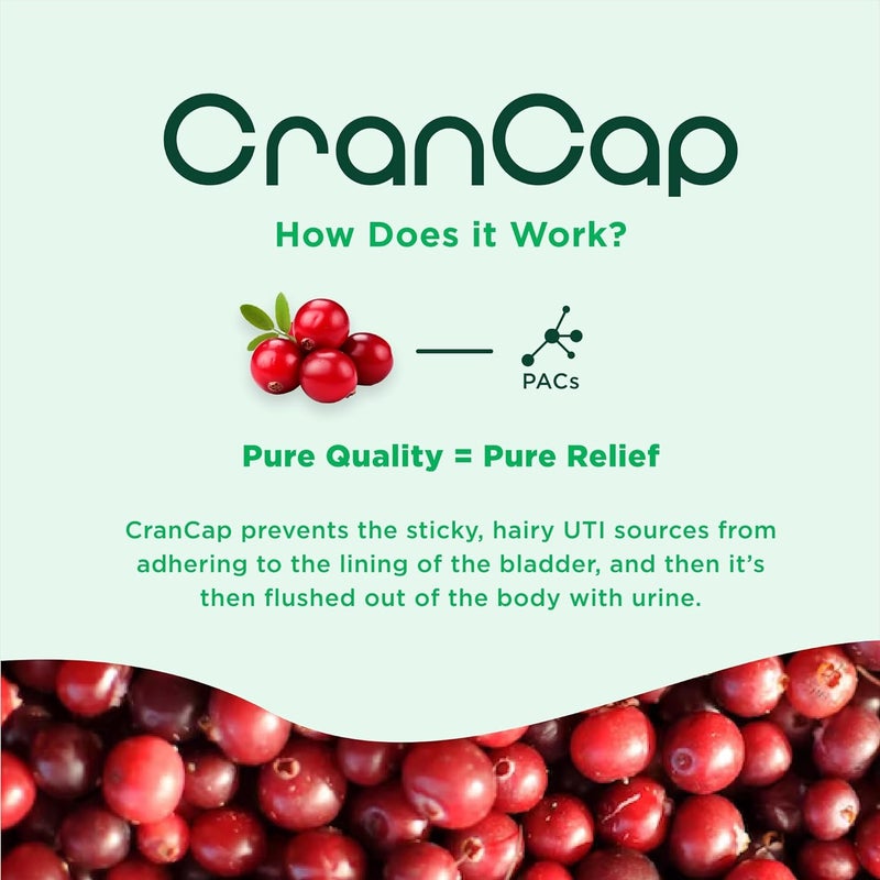 CranCap Cranberry Pills  Urinary Tract Health Cranberry Supplement  36mg of Potent PACs  Non GMO Vegan Gluten Free  by Heale  30 Capsules - Image 4