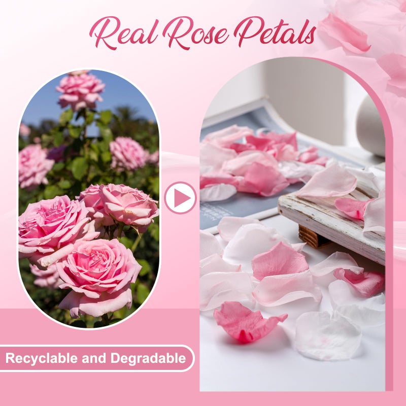 Eslibin 180 PCS Real Pink White Rose Flower Petals Confetti for Wedding to Throw, 1.75oz Freeze Dried Rose Petal for Proposal Centerpieces Romantic Night Decor - Image 4