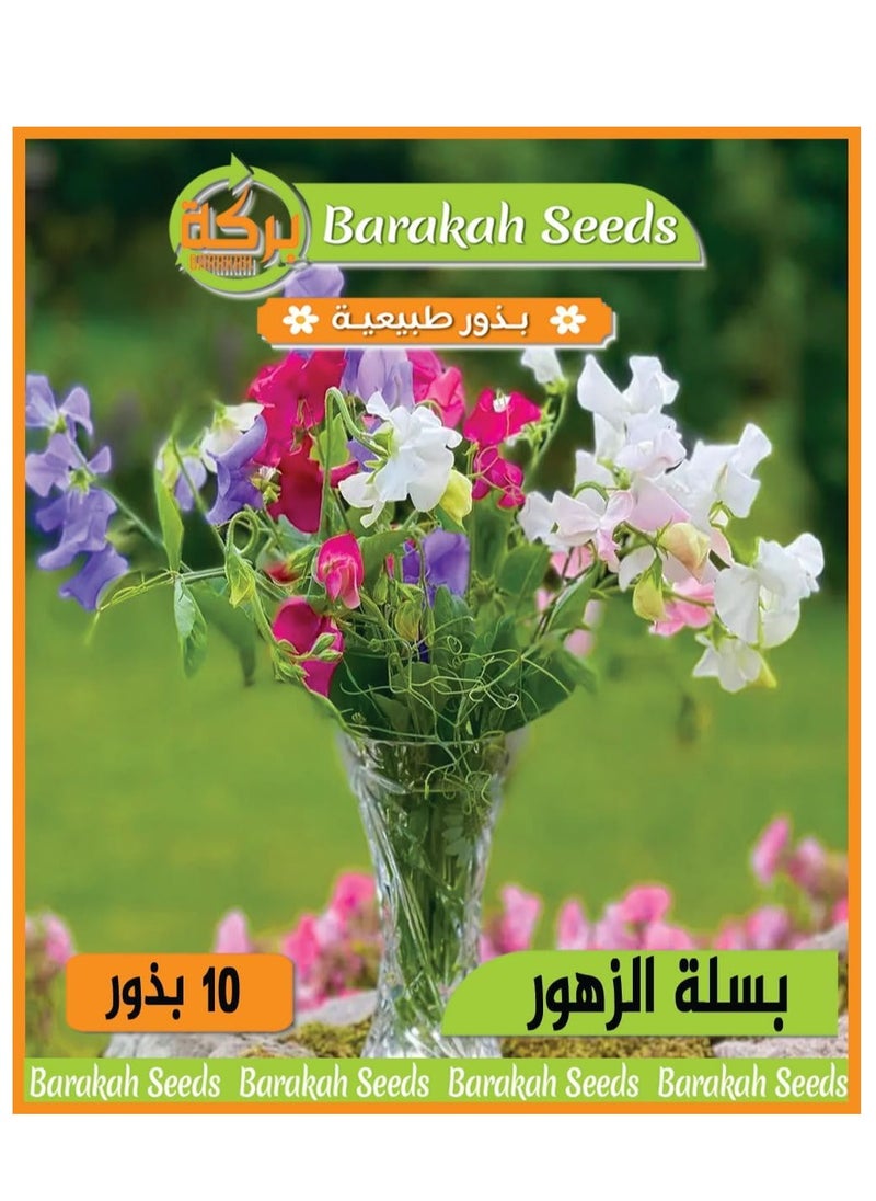Generic High germination flower seed -flower basket 