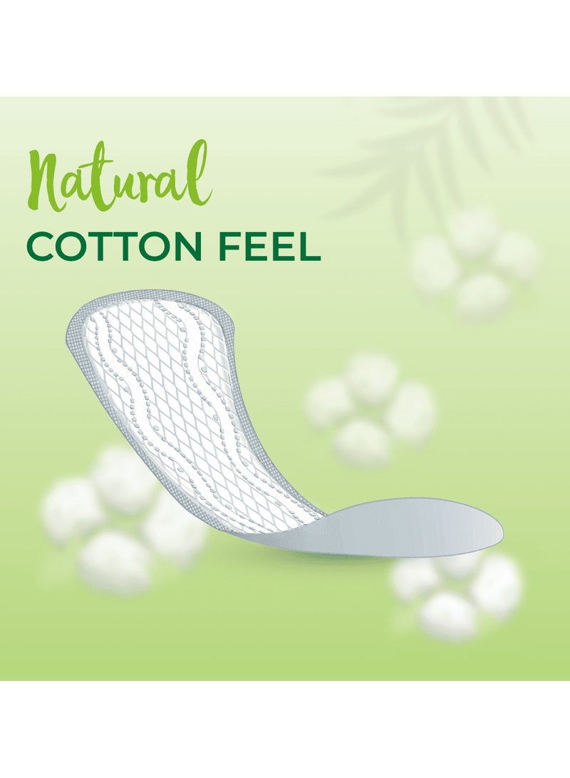 فريش دايز فوطة اليومية عادي 24 قِطَع - Image 5