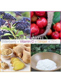 SmarterVitamins Smarter Elderberry Capsules + Vitamin C + Ginger & Zinc, Herbal Supplement for Immune Support, Powerful Black Elder Berry Extract Antioxidant Vitamin, 60 Vegan Pills  - Image 5