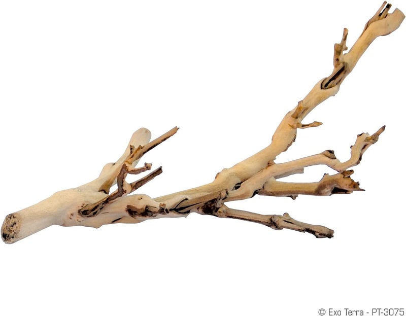 Exo Terra Forest Branch for Reptiles and Amphibians - Small Size - Image 2
