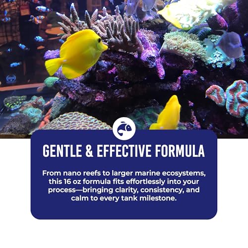 DrTim's Aquatics DrTim’s Aquatics One & Only for Saltwater Aquariums – 16 oz – Live Nitrifying Formulan – Supports Biological Balance, Clean Water & Stability in Fish Tanks - Image 4
