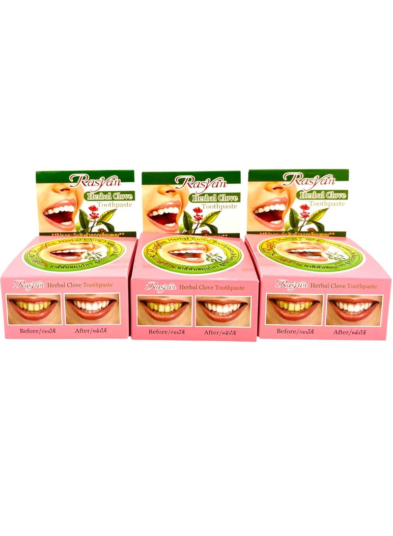 RASYAN HERBAL CLOVE TOOTHPAST 25GM x 3pcs - Image 1