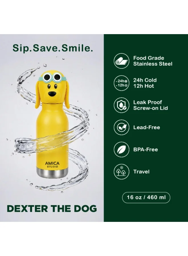 Amica Dexter the Dog Kids Water Bottle 460ml Insulated Stainless Steel Dexter the Dog - AMICA STUDIO  | Best Price UAE