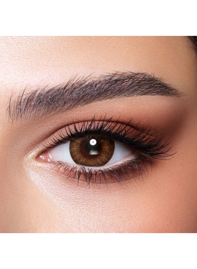Bella Almond Brown One Day Color Contact Lenses - 10 Lenses - Image 2
