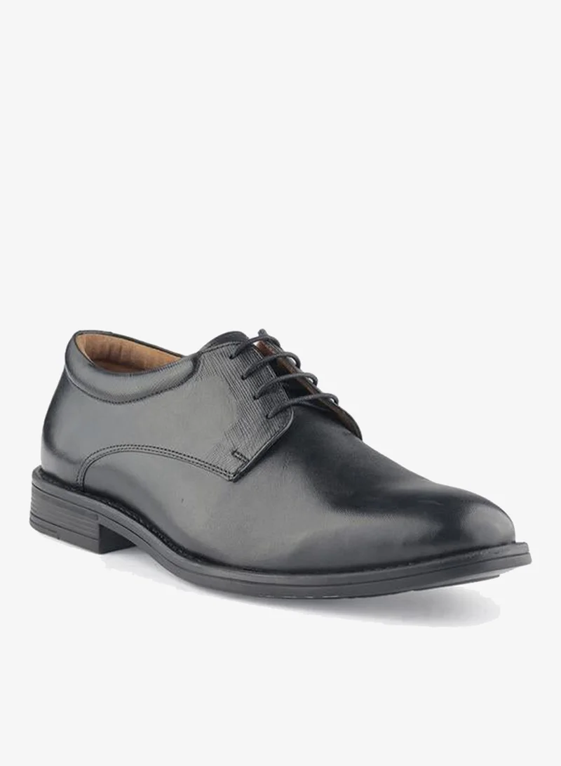 DUCHINI Men Lace-Up Derby Shoes